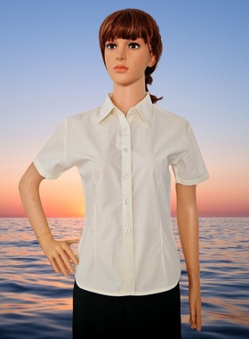 夏季浅黄色女式短袖衬衫长袖学院风职员教师文员修身女生衬衣工衣