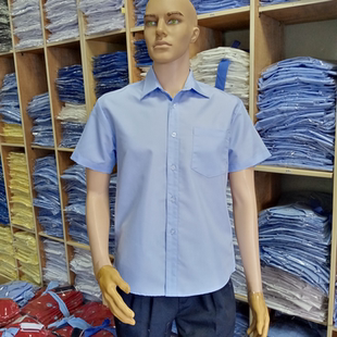 衬衣纯色宽松男式 天蓝色男装 衬衫 工衣免烫薄款 短袖 工作服寸衫 夏季