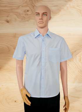 夏季行政文员管理浅蓝色长短袖男衬衫宽松商务男式衬衣工作服上衣