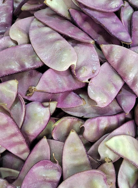贵州农家自种泥巴豆牛角豆紫色扁豆时令蔬菜扁豆新鲜鹅米豆新鲜