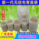 无纺布育苗袋营养袋加厚种植袋白色营养钵一次性花盆可降解育苗杯