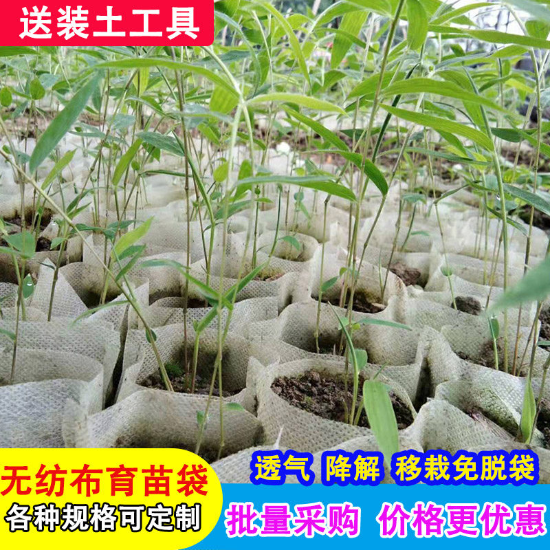 方竹苗育苗袋无纺布营养杯加厚树苗种植袋可降解苗木营养钵育苗盆