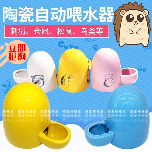 包邮非洲迷你刺猬饮水器兔子蜜袋鼯仓鼠陶瓷饮水器 宠物水壶水樽