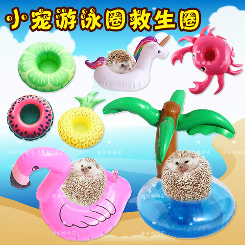 雪貂游泳圈刺猬花枝鼠洗澡
