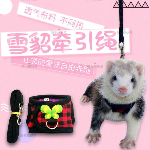 龙猫兔兔背心牵引绳土拨鼠宠物雪貂松鼠背心式防打结分体牵引绳