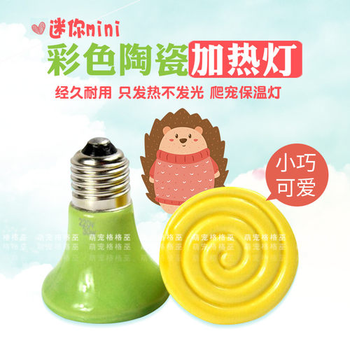 包邮非洲迷你刺猬加热灯陶瓷