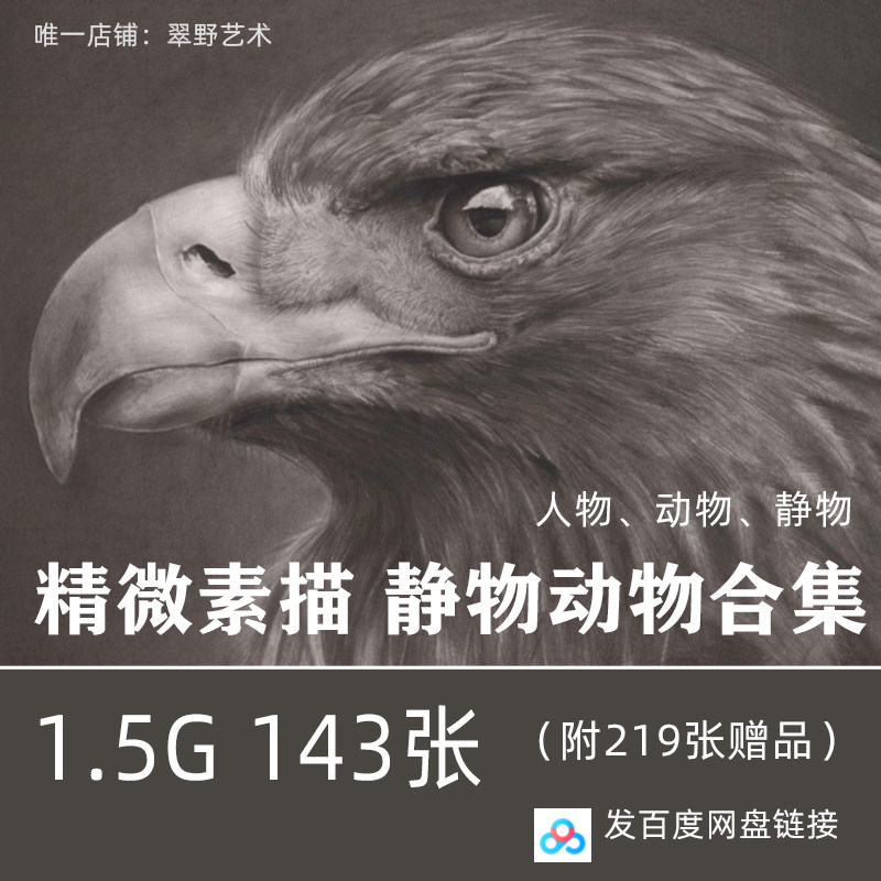 精微素描临摹卡高清图静物彩铅动物央美超写实打印素材电子素材