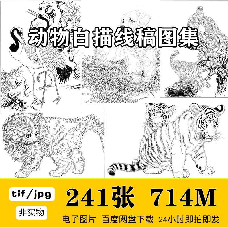 工笔白描底线稿动物猫狗老虎仙鹤草虫牛羊鸡骏马鹰鱼电子图片素材