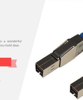 24G IBM SFF-8674 MiniSAS ZHD (4.0) 1.6M 02AT080