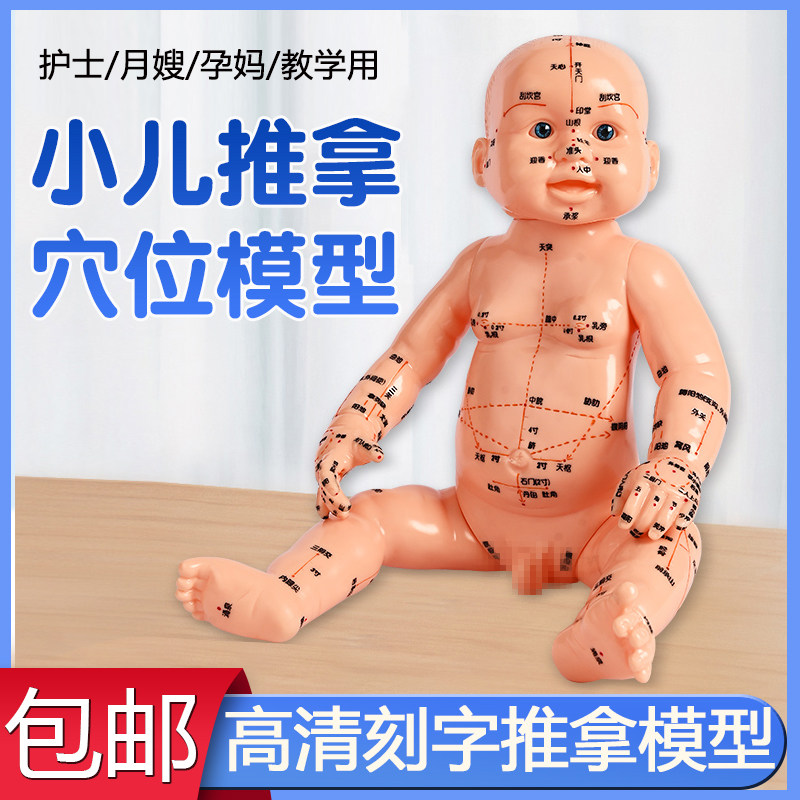 全身穴位娃娃经络图按摩书中医小儿推拿教学保健月嫂培训宝宝模型