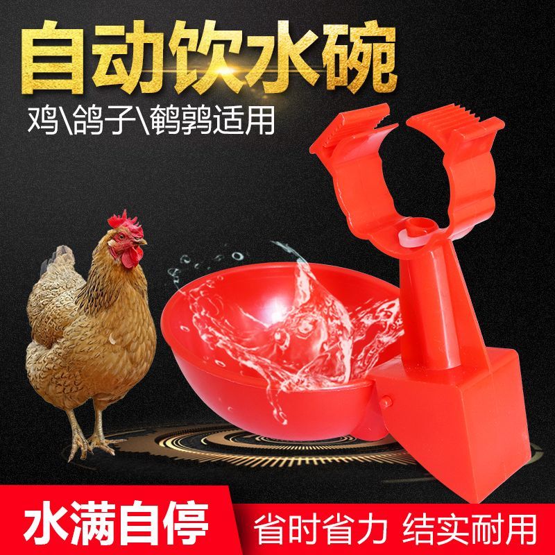 鸡用自动卡式饮水器雏饮水吊杯