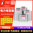 德力西自愈式 低壓并聯(lián)電力電容器BSMJS0.45耐壓450V無功補償三相