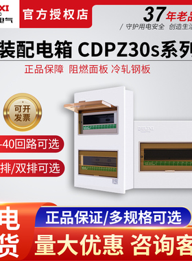 德力西暗装配电箱PZ30s控制箱家用照明开关盒室内强电箱电控布线