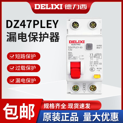 德力西DZ47PLEY双进双出带漏电保断路器开关2位家用40A总闸32A63A