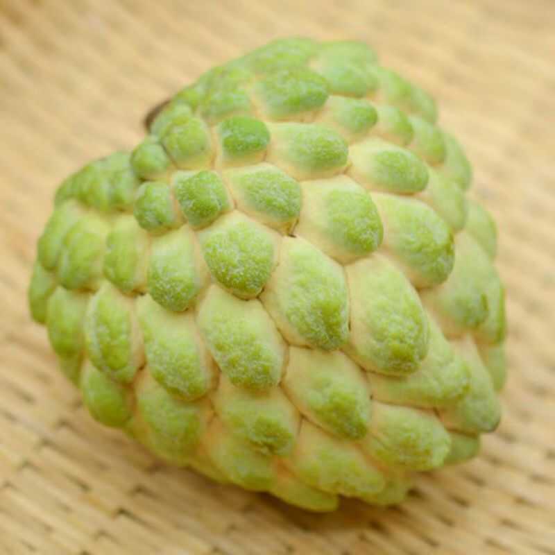 广东潮汕大目释迦佛头果