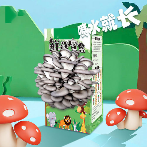 【下单立减50】蘑菇盒子菌包菌棒种植家用学校奖礼品幼儿园Y03