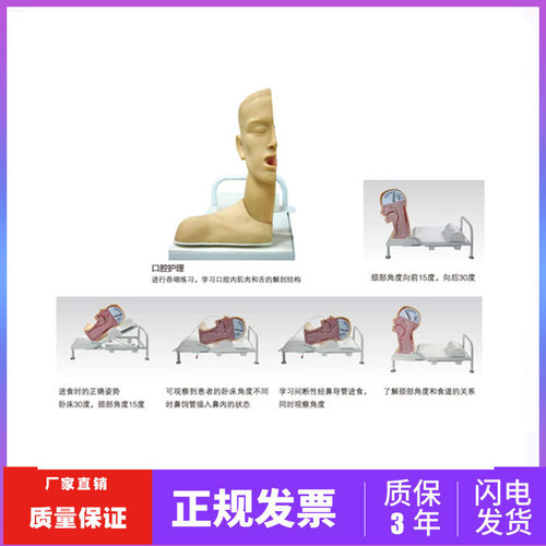 瑞模吞咽机制训练模型