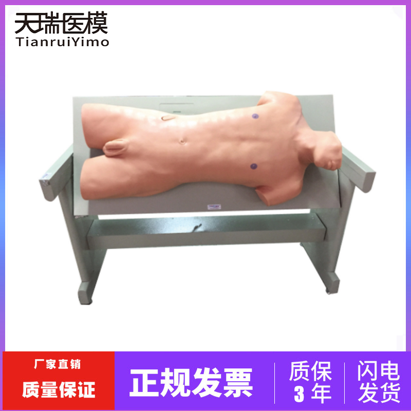 综合穿刺模型 高级综合穿刺术训练与叩诊检查技能模拟人 医用教学