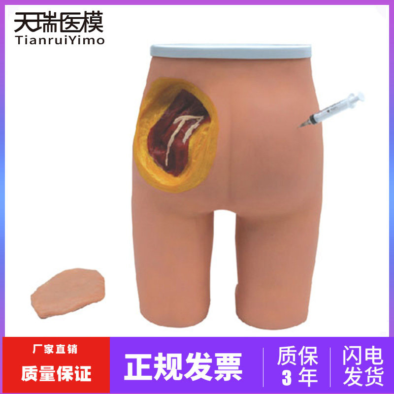 高级臀部肌肉注射与解剖结构模型 臀部肌肉注射练习模型 医用模型