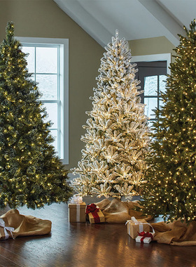 大型圣诞树家用加密1.5米场景装饰圣诞节植绒绿色1.8/2.1米装饰树