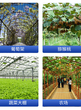 葡萄架蔬菜大棚紧线器 小型免焊免钉防腐防锈镀锌钢丝拉直拧紧器