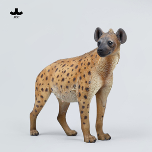 JXK非洲鬣狗模型仿真动物周边GK手办潮流玩具雕塑摆件配1/6兵人偶