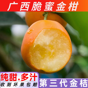 正宗广西脆蜜金桔桂林当季新鲜纯甜水果脆蜜金柑第3代金桔整箱5斤