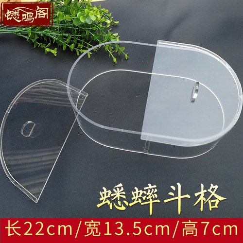 精品带盖子透明斗盆垫纸蟋蟀