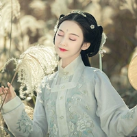 Zhong Lingji [Значение сломано прозрачное прозрачное прозрачное прозрачное] Ziyi Bijia Plactic Lady Hanfu Юбка для женской и зимней юбки
