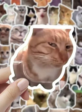 200张猫meme贴纸可爱搞笑猫咪表情包抽象DIY手账手机行李箱装饰