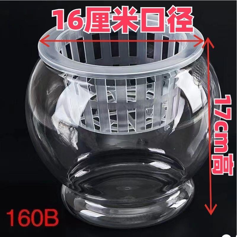 高透明塑料大口径16厘米花瓶儿童鱼缸绿萝花盆庭园艺自动吸水花盆