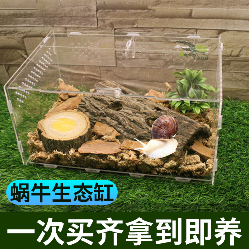 陆龟饲养箱爬箱蜥蜴饲养箱变色龙高箱网箱杉木箱DIY陶瓷灯口灯座_虎窝淘