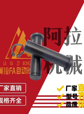 卡簧销 HCDG HCCG MIC01 MIC11 5 6 8 10 12 15 20 25 带肩铰链销