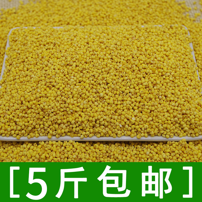 优质糯小米大黄米包粽子煮粥均可
