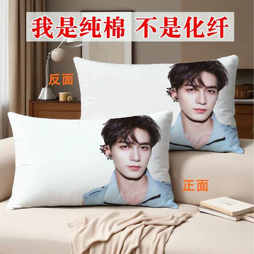 送闺蜜陈星旭同款枕套纯棉40支60支双面印花全工艺全棉单人枕头套
