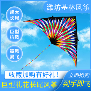 风筝潍坊基林风筝6平礼花微风易飞大型大特大长尾巨型树脂杆伞布