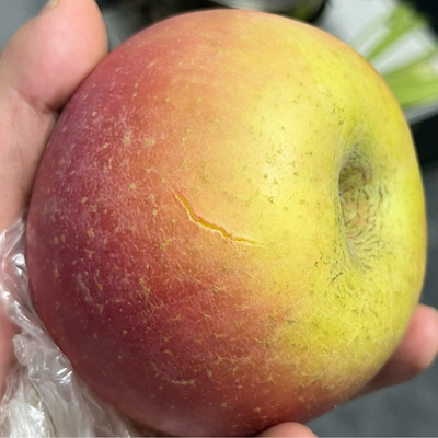 野生徐州丰县大沙河红富士苹果脆甜孕妇新鲜水果10斤冰糖心丑萍果