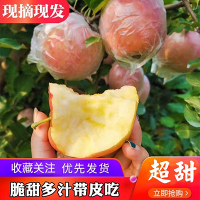 现摘红富士脆甜大沙河丑苹果新鲜