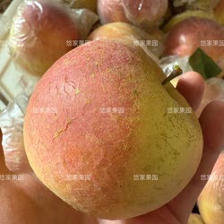 年货 新鲜大沙河红富士苹果现摘酥脆甜孕妇新鲜水果冰糖心丑萍果