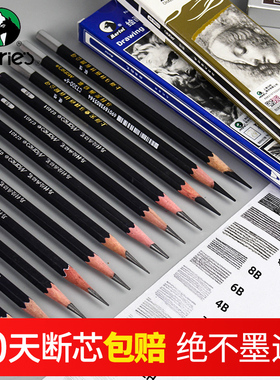 马利素描铅笔全套炭笔美术生专用碳笔套装马力软炭软中硬14b2b3b4b5b6b7b8b12b软炭笔特浓软碳绘画工具比玛丽