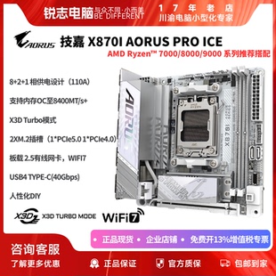 X870I ITX迷你冰雕主板 AORUS ICE 性能配件组合带USB4 PRO 技嘉