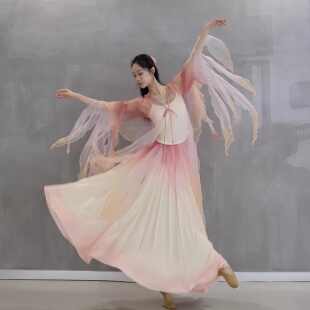 新款《醉美人》古典舞服仙气飘逸上衣国风舞蹈服装破烂袖渐变纱衣