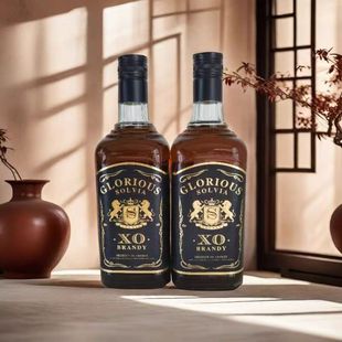 法国进口XO白兰地brandy洋酒索尔维亚荣耀40度700mL