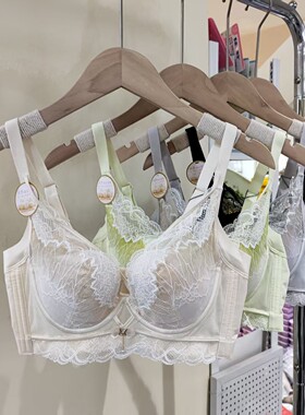 新款芒果杯蕾丝网纱美胸内衣女B杯软钢圈防下垂加高侧收文胸25016