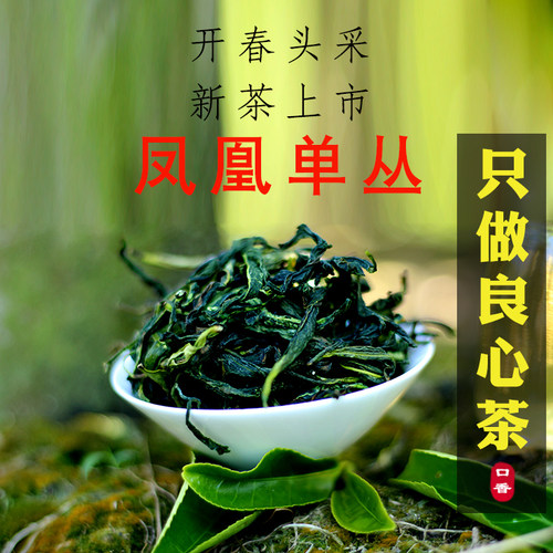 正宗凤凰单枞高山抽湿绿衣仙子