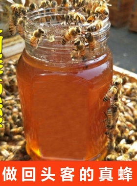 正品蜂蜜纯正天然农家自产百花蜜结晶土蜂蜜枣花蜜老山洋槐蜜