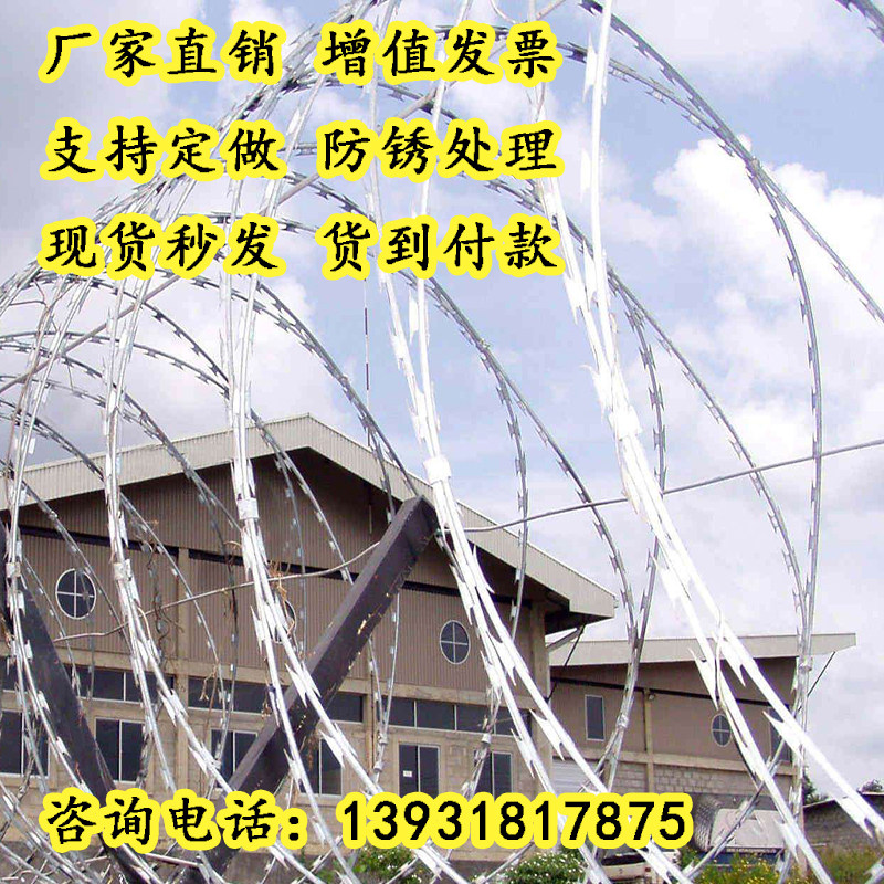 刀片刺绳铁丝网不锈钢防爬刺网护栏网带刺钢丝网防盗围墙网铁蒺藜