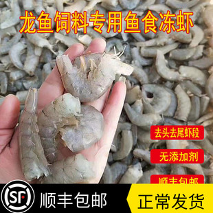 龙鱼饲料冻虾鱼食专用虾段虾仁喂鱼冻食冷冻去头尾虾泥鳅段冻河虾