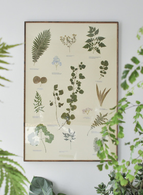 朴一植物原创植物艺术标本装饰画 干花挂画客厅背景墙民宿茶馆