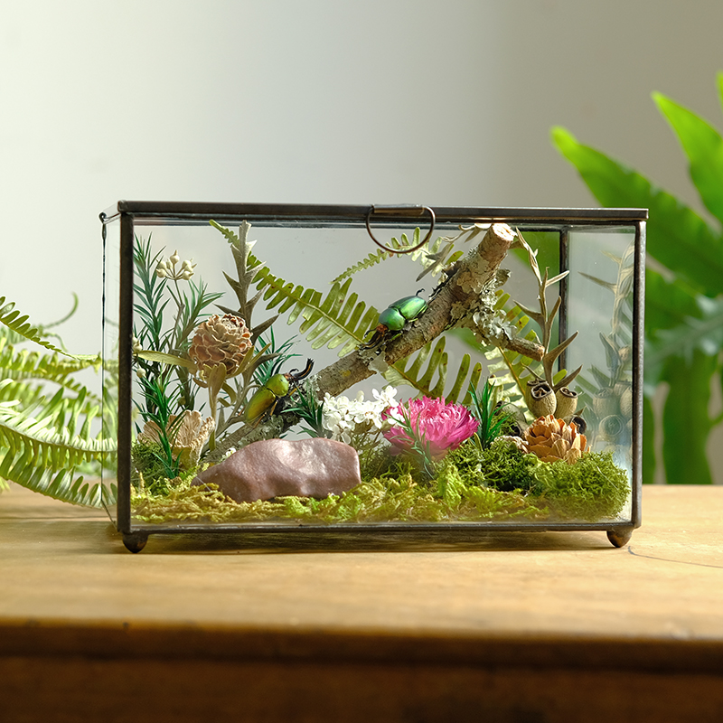 玻璃房桌面摆件自然田园办公室